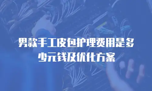 男款手工皮包护理费用是多少元钱及优化方案
