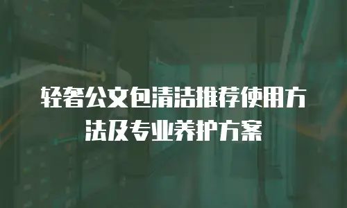 轻奢公文包清洁推荐使用方法及专业养护方案