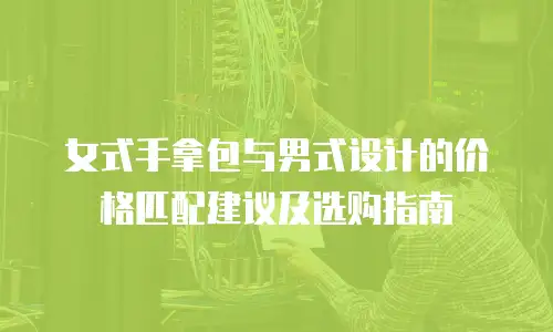 女式手拿包与男式设计的价格匹配建议及选购指南