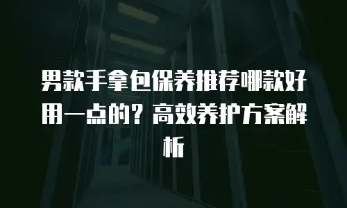 男款手拿包保养推荐哪款好用一点的？高效养护方案解析