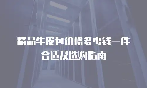 精品牛皮包价格多少钱一件合适及选购指南