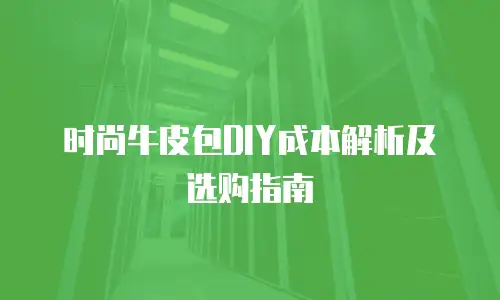 时尚牛皮包DIY成本解析及选购指南