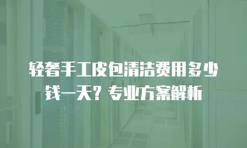 轻奢手工皮包清洁费用多少钱一天？专业方案解析