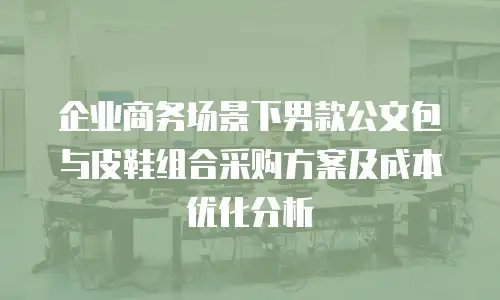 企业商务场景下男款公文包与皮鞋组合采购方案及成本优化分析