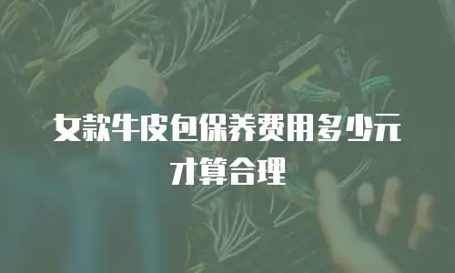 女款牛皮包保养费用多少元才算合理