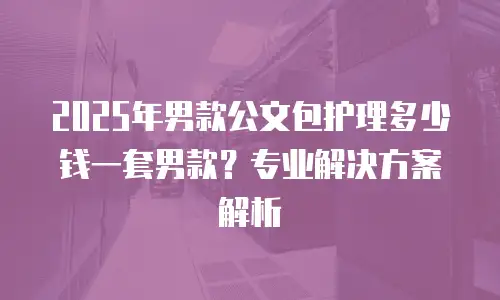 2025年男款公文包护理多少钱一套男款？专业解决方案解析