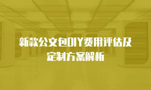 新款公文包DIY费用评估及定制方案解析