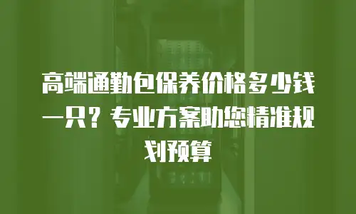 高端通勤包保养价格多少钱一只？专业方案助您精准规划预算