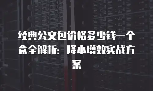 经典公文包价格多少钱一个盒全解析：降本增效实战方案
