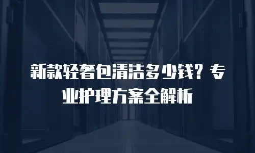新款轻奢包清洁多少钱？专业护理方案全解析