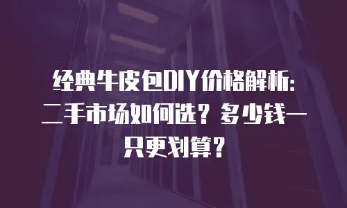 经典牛皮包DIY价格解析：二手市场如何选？多少钱一只更划算？