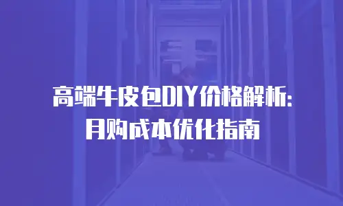 高端牛皮包DIY价格解析：月购成本优化指南