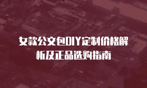 女款公文包DIY定制价格解析及正品选购指南