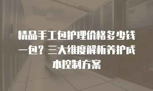 精品手工包护理价格多少钱一包？三大维度解析养护成本控制方案