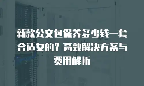 新款公文包保养多少钱一套合适女的？高效解决方案与费用解析