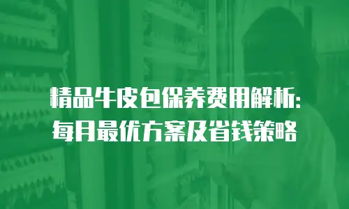 精品牛皮包保养费用解析：每月最优方案及省钱策略