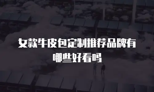 女款牛皮包定制推荐品牌有哪些好看吗