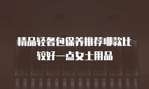 精品轻奢包保养推荐哪款比较好一点女士用品