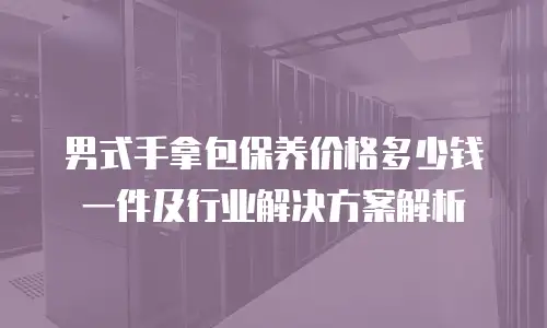 男式手拿包保养价格多少钱一件及行业解决方案解析