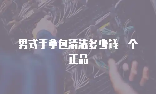 男式手拿包清洁多少钱一个正品