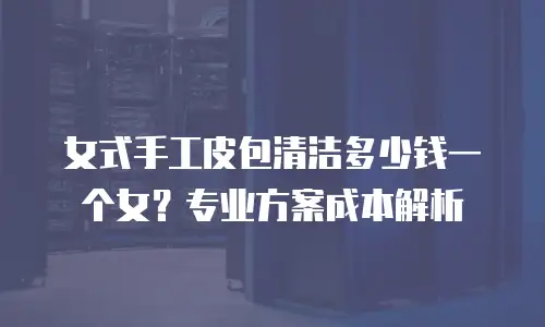 女式手工皮包清洁多少钱一个女？专业方案成本解析