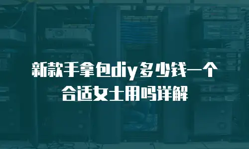 新款手拿包diy多少钱一个合适女士用吗详解