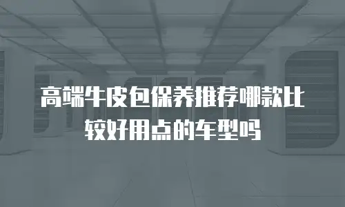 高端牛皮包保养推荐哪款比较好用点的车型吗