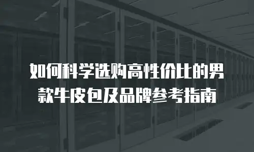 如何科学选购高性价比的男款牛皮包及品牌参考指南
