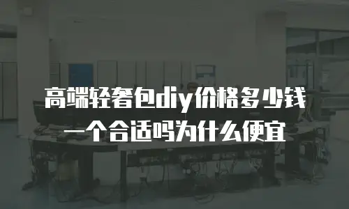 高端轻奢包diy价格多少钱一个合适吗为什么便宜