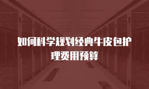 如何科学规划经典牛皮包护理费用预算