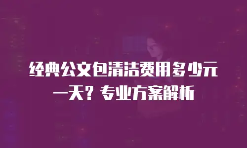 经典公文包清洁费用多少元一天？专业方案解析