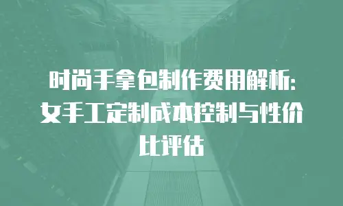 时尚手拿包制作费用解析：女手工定制成本控制与性价比评估