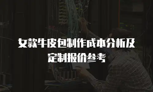 女款牛皮包制作成本分析及定制报价参考
