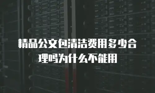 精品公文包清洁费用多少合理吗为什么不能用