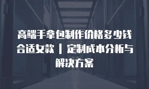 高端手拿包制作价格多少钱合适女款 | 定制成本分析与解决方案