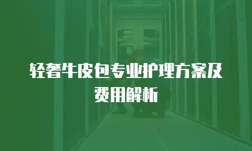 轻奢牛皮包专业护理方案及费用解析