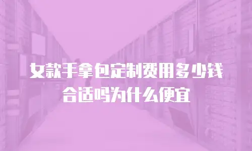 女款手拿包定制费用多少钱合适吗为什么便宜