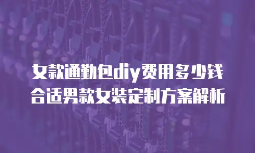 女款通勤包diy费用多少钱合适男款女装定制方案解析