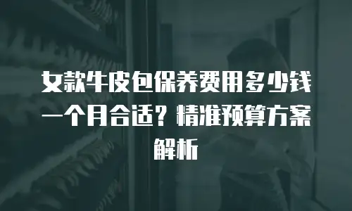 女款牛皮包保养费用多少钱一个月合适？精准预算方案解析