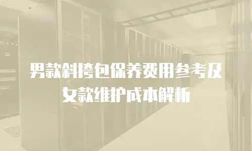 男款斜挎包保养费用参考及女款维护成本解析