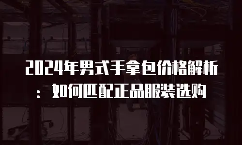 2024年男式手拿包价格解析：如何匹配正品服装选购