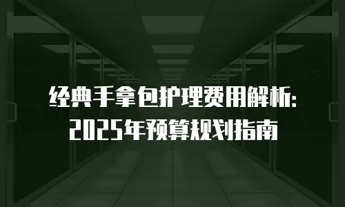 经典手拿包护理费用解析：2025年预算规划指南