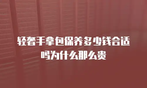 轻奢手拿包保养多少钱合适吗为什么那么贵