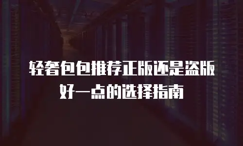 轻奢包包推荐正版还是盗版好一点的选择指南
