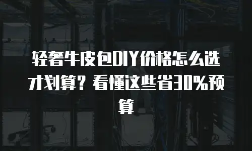 轻奢牛皮包DIY价格怎么选才划算？看懂这些省30%预算