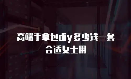 高端手拿包diy多少钱一套合适女士用