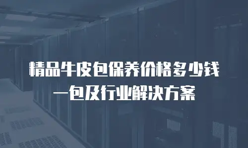 精品牛皮包保养价格多少钱一包及行业解决方案