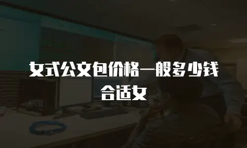 女式公文包价格一般多少钱合适女