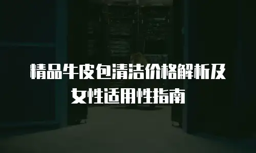 精品牛皮包清洁价格解析及女性适用性指南