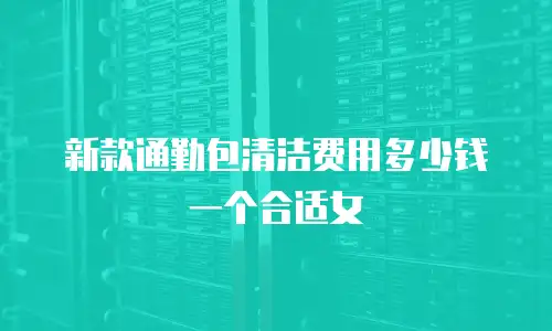 新款通勤包清洁费用多少钱一个合适女